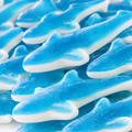 Blue Sharks