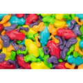 Tropical Frogs